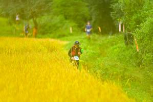 BIB: 
                            <button type="button" onclick="openModal(13455998)" class="btn btn-primary btn-sm float-right btn-popup" data-toggle="modal" data-target=".modal-high-quality">
                        <i class="fas fa-shopping-cart"></i> Add to Cart
                    </button>
                                            <button type="button" onclick="isThisMe(13455998, true)" class="btn btn-success btn-sm float-right btn-popup btn-isme hidden" data-toggle="tooltip" data-placement="bottom" title="นี่คือรูปของคุณใช่ไหม คลิกที่นี่เพื่อเอาเข้าอัลบั้ม">
                        <i class="fas fa-plus"></i> Add to album
                    </button>
                    <button type="button" onclick="isThisMe(13455998, false)" class="btn btn-warning btn-sm float-right btn-popup btn-isnotme hidden">
                        <i class="fas fa-ban"></i> Remove from album
                    </button>